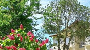 Un exuberante jardín con vibrantes flores rosadas y césped verde.