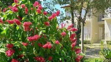 Voorkant van accommodatie