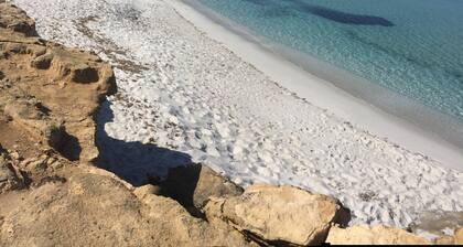 S'arena Soada Facing the Sea