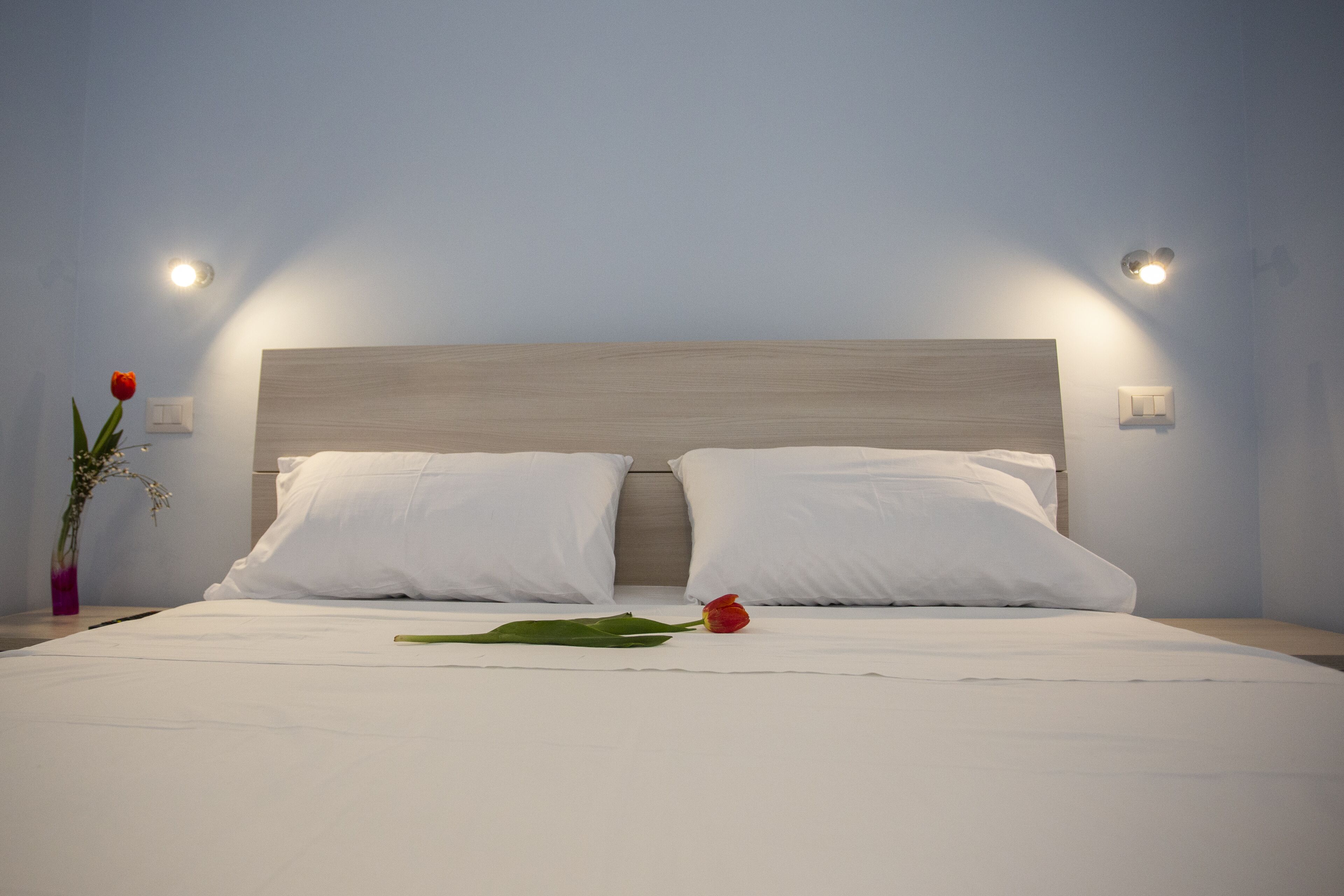 Foto - Magna Graecia