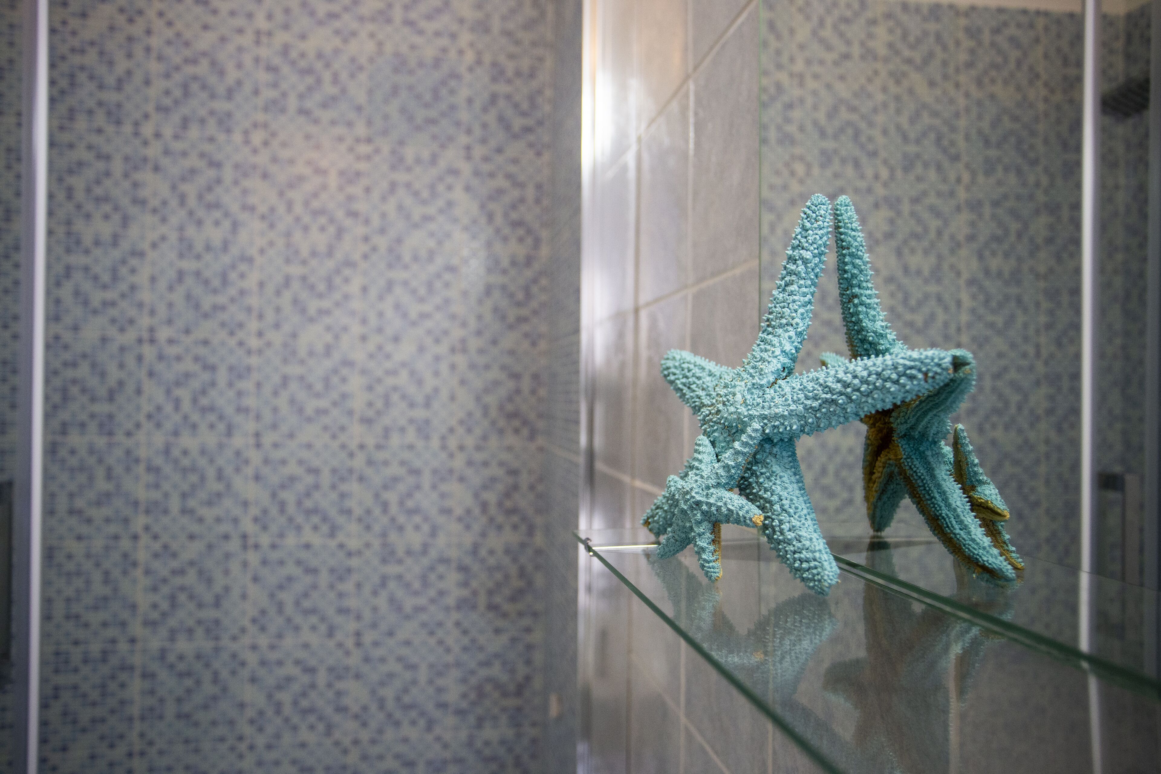 Foto - Magna Graecia