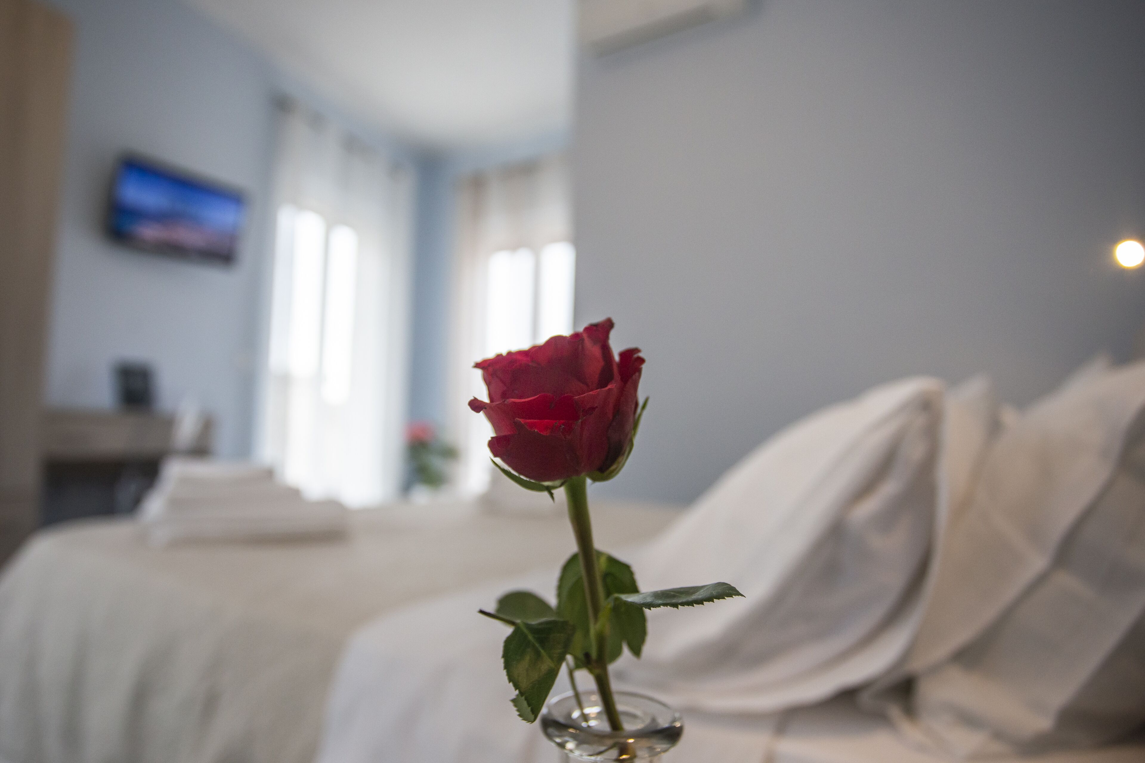 Foto - Magna Graecia