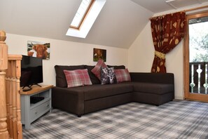 Smart TV, fireplace, books