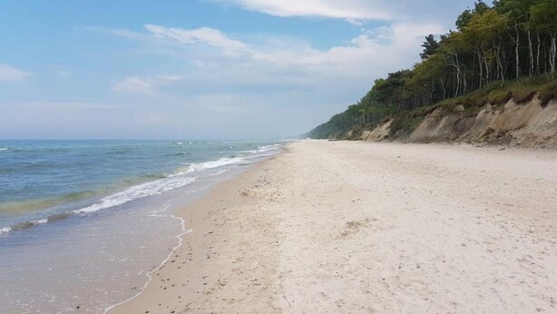 A beach with a sandy shore and a forested cliff.