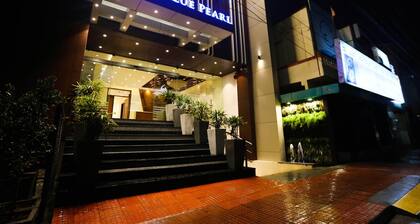 Hotel Blue Pearl Chikmagalur