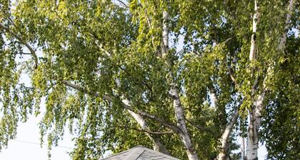 Urban Lake Condo in Sheboygan's Historic Ellis District