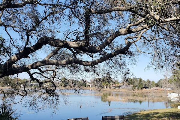 Enjoy your sunrise & sunsets in this backyard oasis. Nothing but cranes & ducks