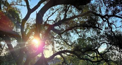 Lakefront Retreat – Remote Work Friendly + Flexible Stays