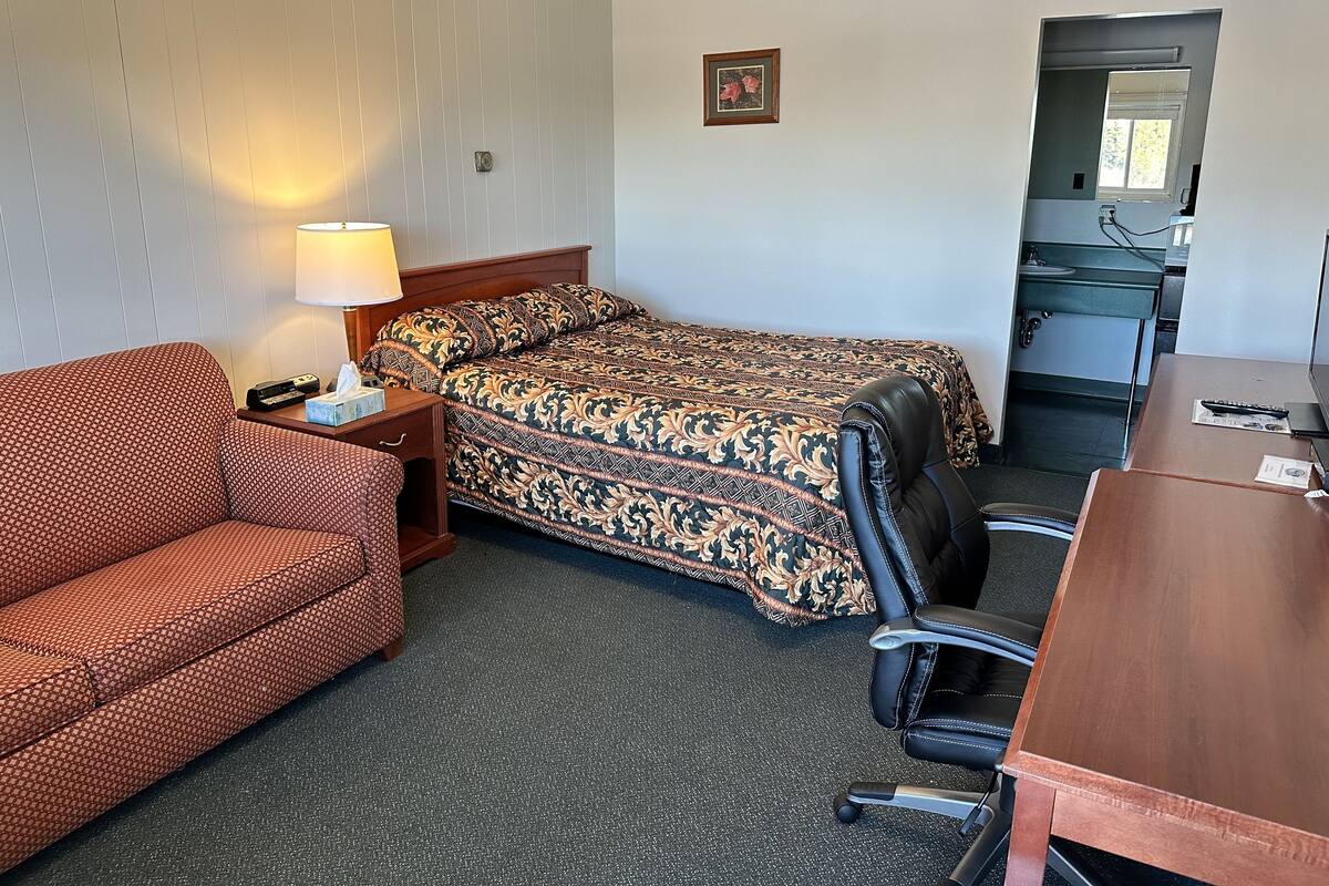 A hotel room with a bed, a desk, a chair, a sofa, a lamp, and a small picture on the wall.