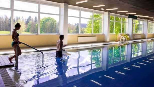 An indoor swimming pool with clear windows, a wooden ceiling, and a view of trees outside. - Apartments Harz Panorama (Braunlage)