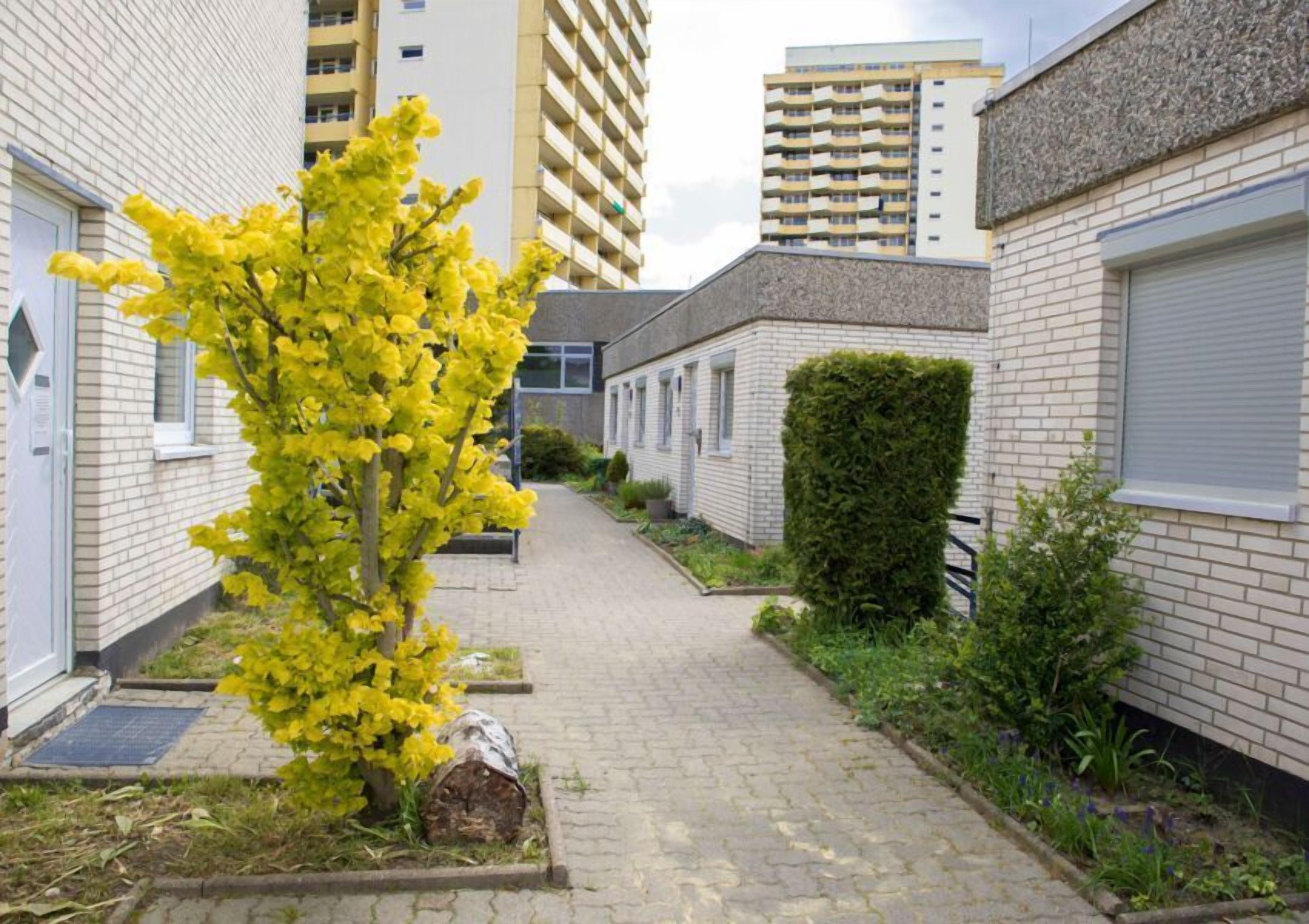 Un estrecho sendero entre edificios de dos pisos, con un árbol pequeño y un seto.