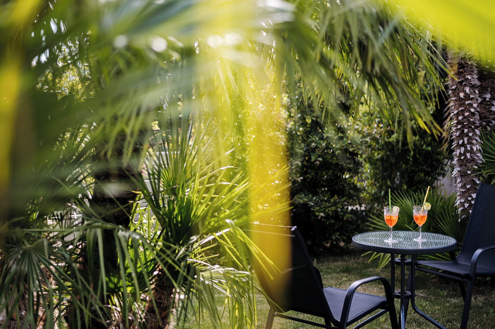 A round table with two chairs, two drinks, and a palm tree in the background.