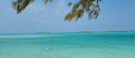 Vlak bij het strand, ligstoelen, strandlakens