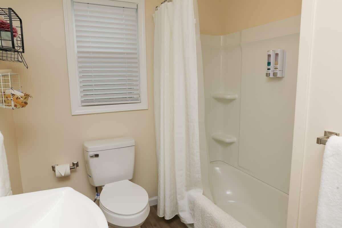 Shower, hair dryer, shampoo