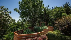 A garden with a wooden bench, a wooden pergola, and various plants. - Lakeview Luxury - Deck With View, 3 Family Rooms (Manhattan)