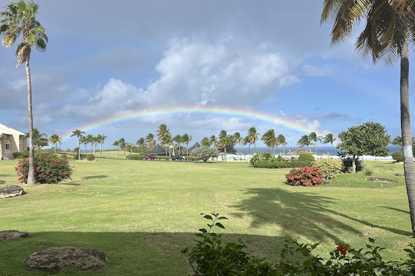 View from screen porch