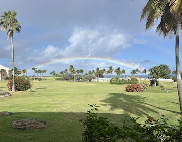 View from screen porch