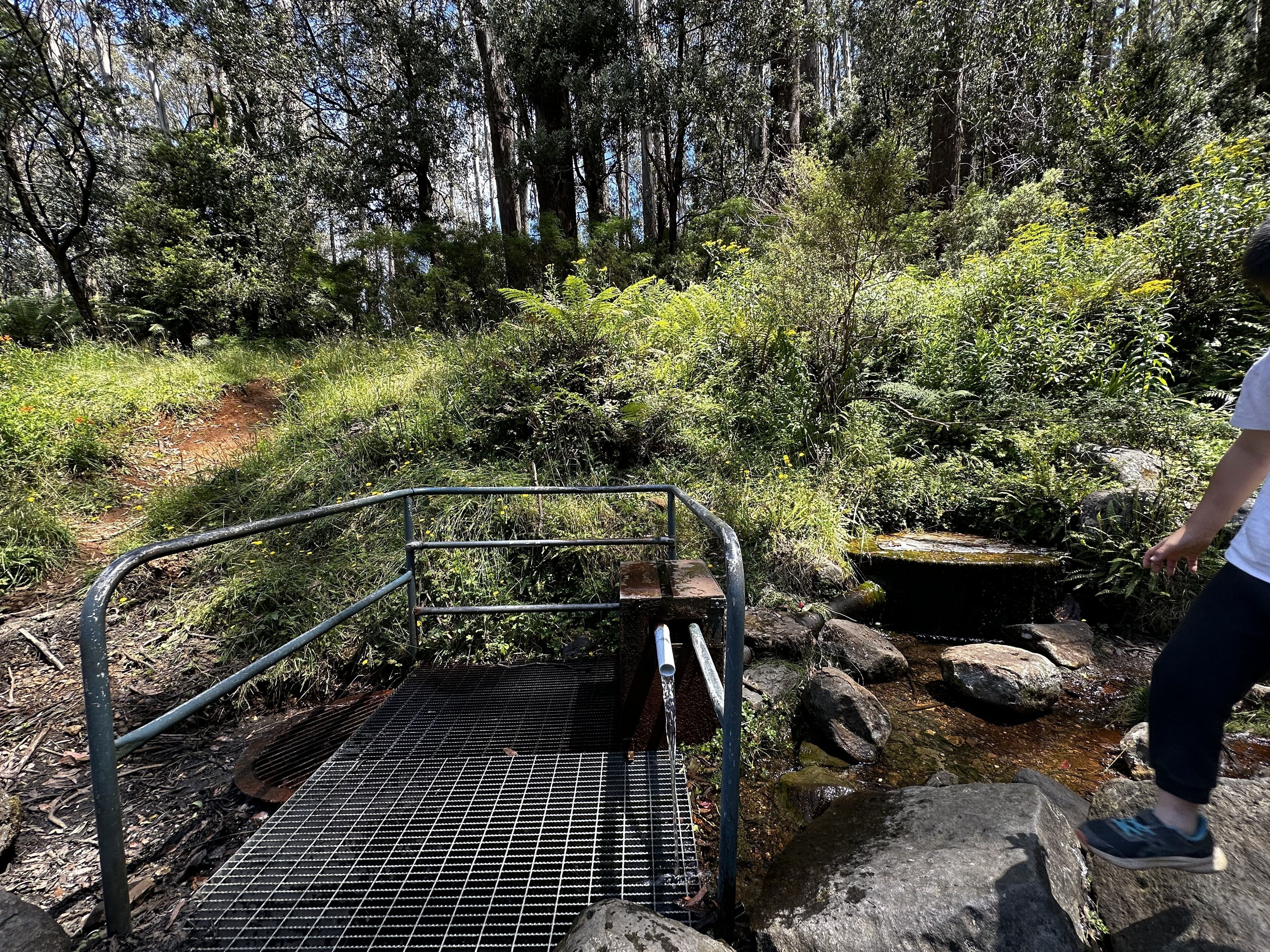 Eine Metalltreppe führt zu einem Wasserspiel, das von dichtem Grün und Felsen umgeben ist.