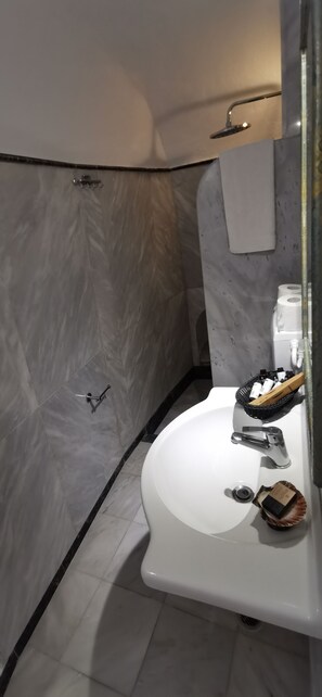 Regadera, amenidades de baño ecológicas, secadora de cabello, toallas 
