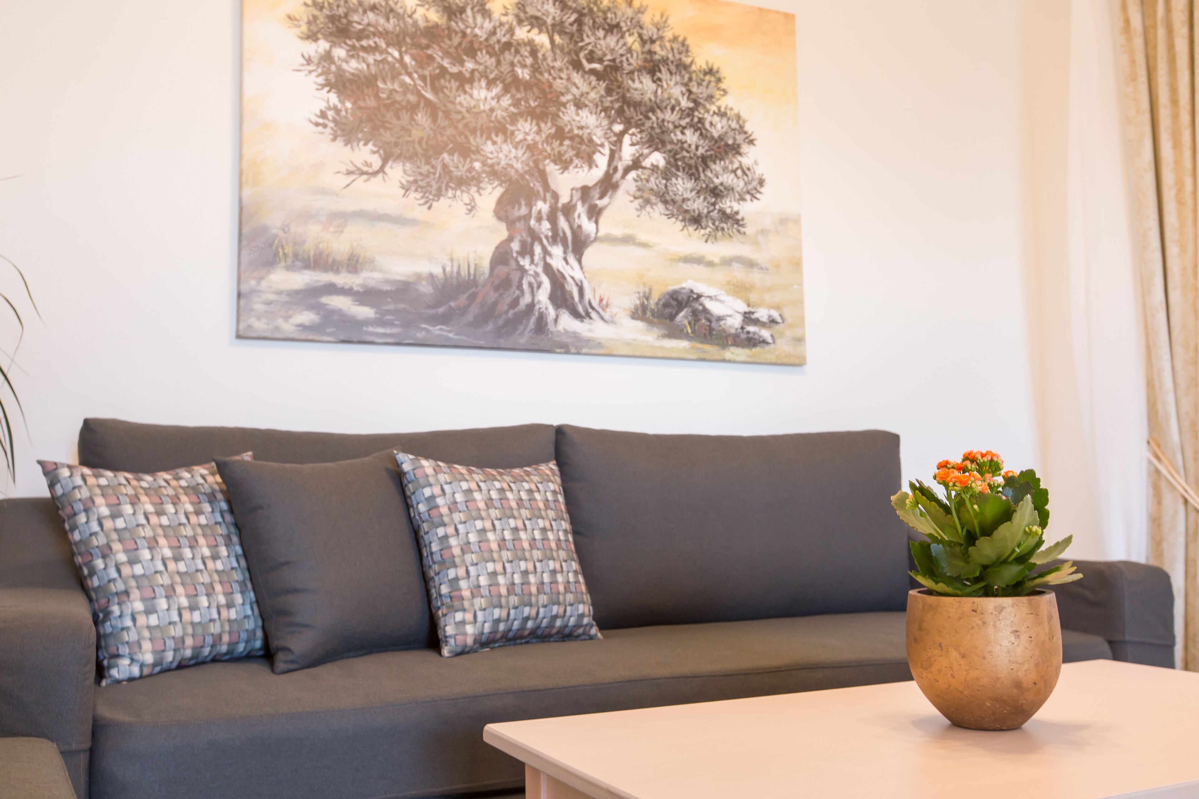 A living room with a grey sofa, patterned cushions, a small table, and a potted plant.