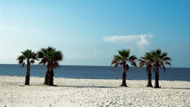 A beach with three palm trees and a clear sky.