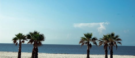 Sun-loungers, beach towels