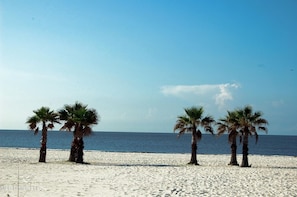 Ein Strand mit drei Palmen und blauem Himmel.