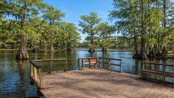 A wooden dock extending into a body of water surrounded by trees with exposed roots.