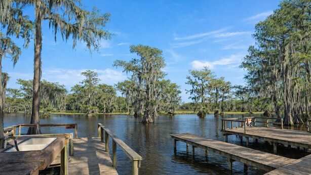 A wooden dock extending into a calm body of water surrounded by trees with Spanish moss.