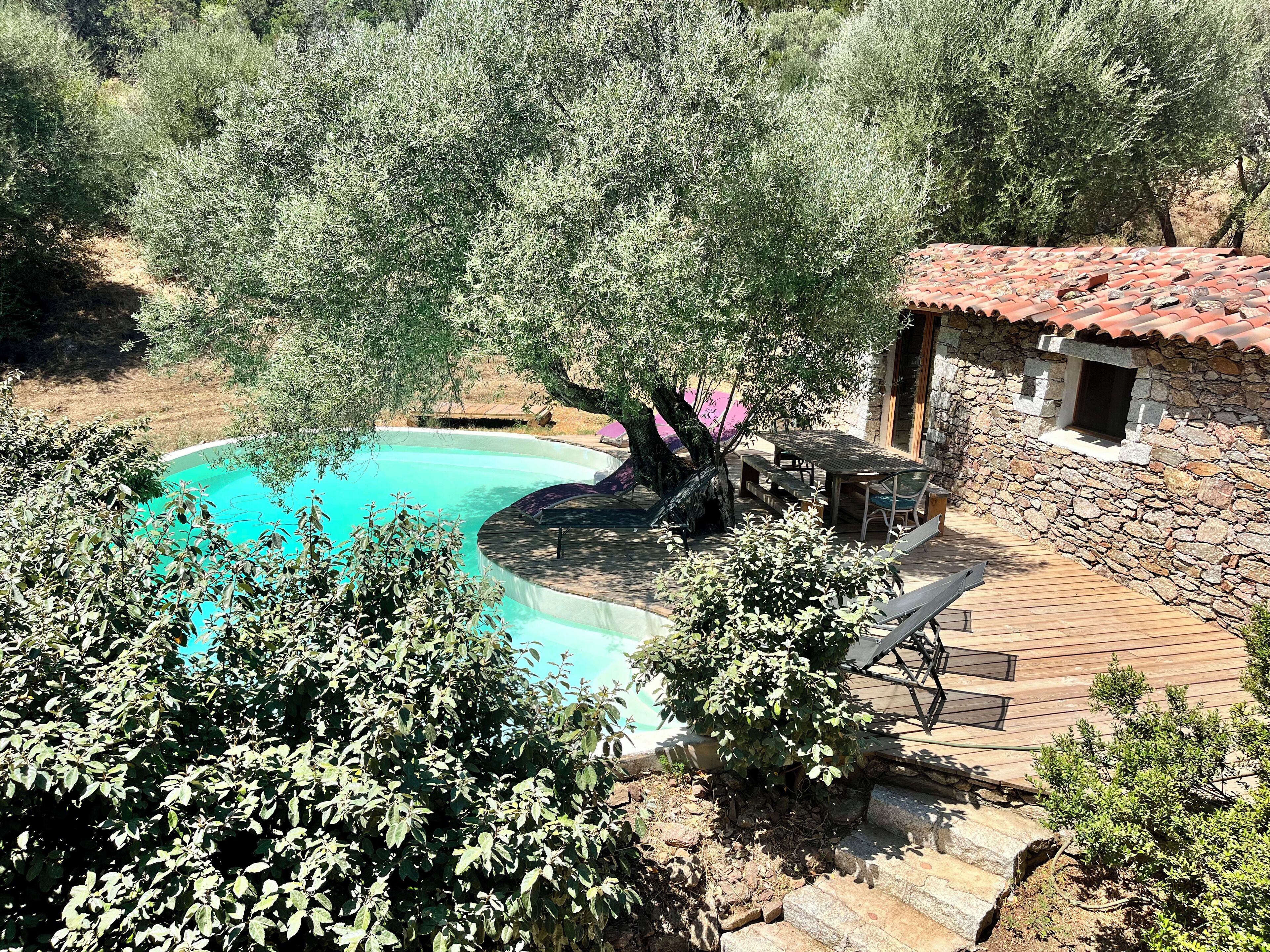 Rideaux occultants, fer et planche à repasser, Wi-Fi gratuit