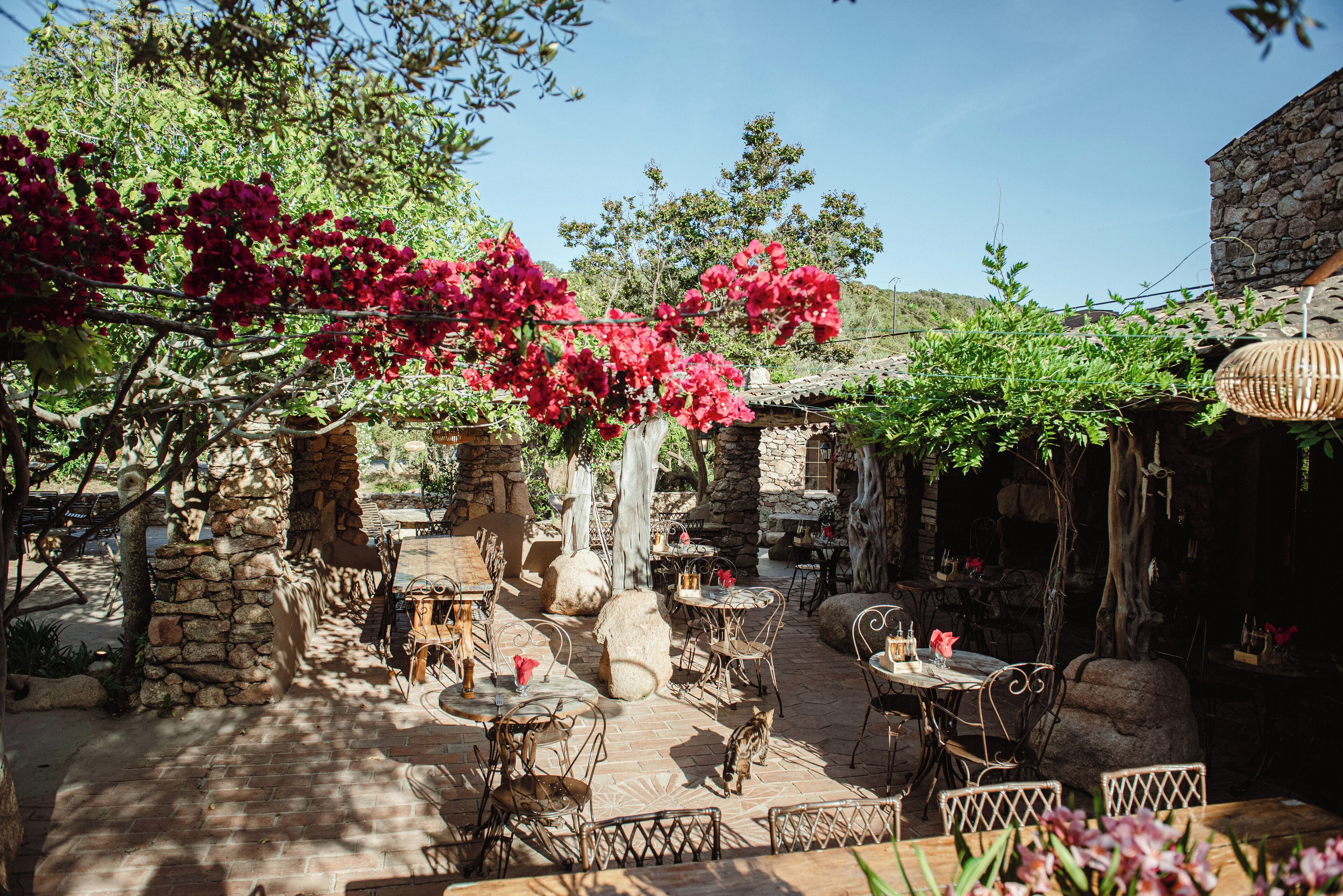 Un espace extérieur aménagé en patio, avec des murs en pierre, du mobilier en métal et des fleurs de bougainvillier rouges.