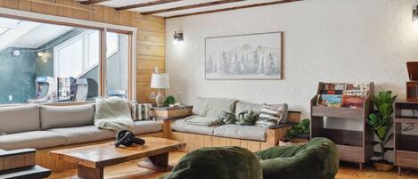TV, fireplace, books, stereo