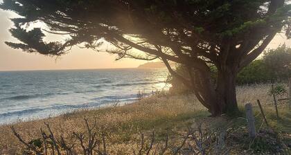 Terrasse de Chimay - Charmant apt dans résidence front de mer