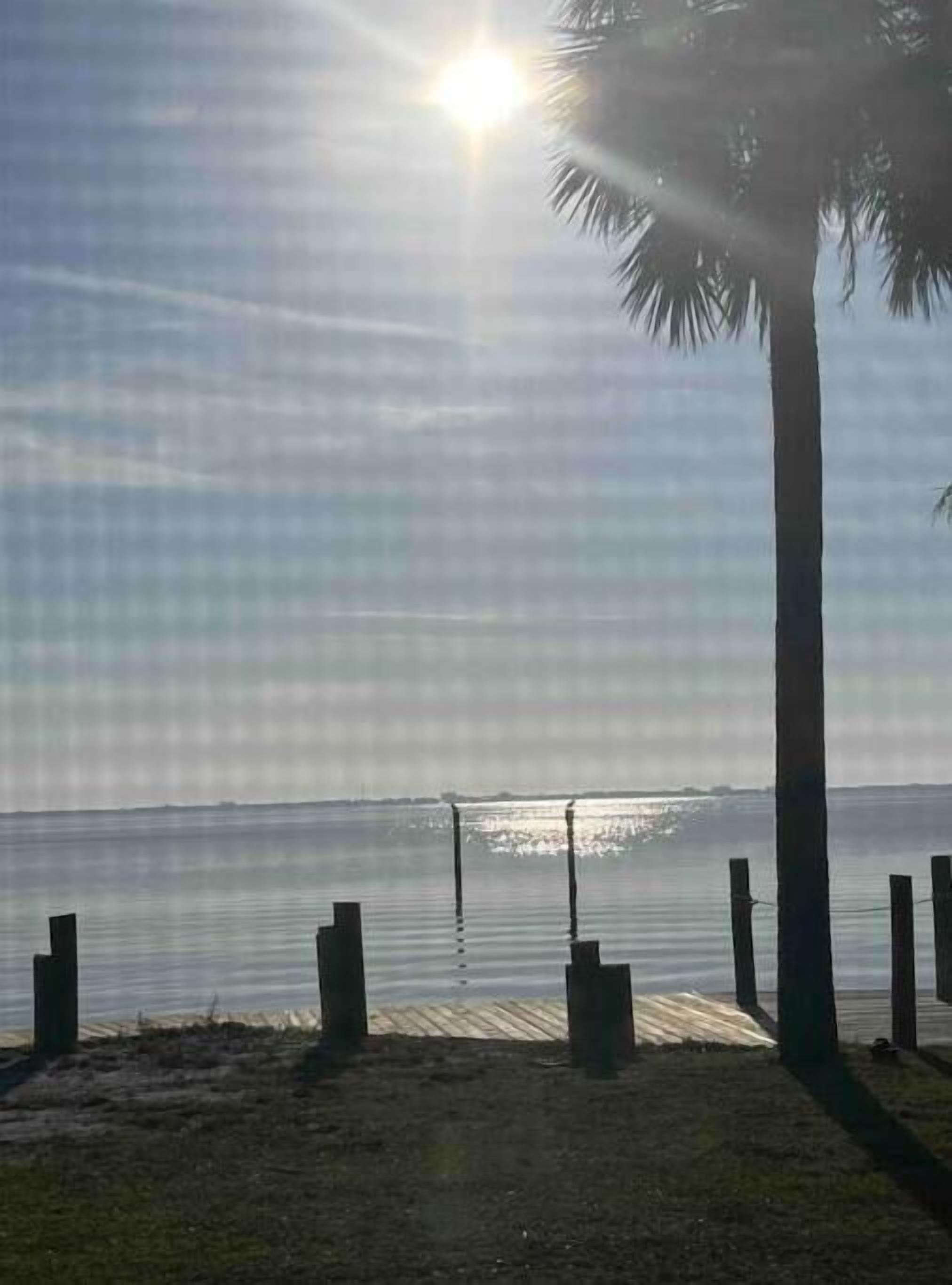 Une scène de plage avec un ciel dégagé, des palmiers et une jetée en bois qui s’avance dans une eau calme.