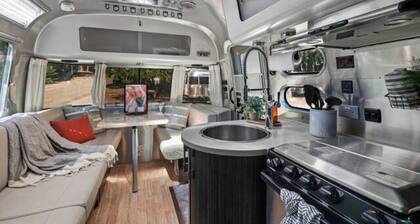 Airstream - (Chestnut)