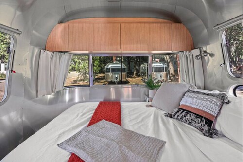 Airstream - (Eucalyptus)