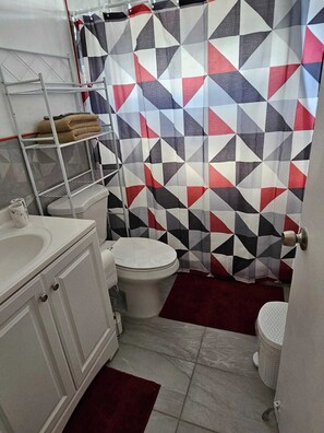 Secador de cabelo, toalhas de banho, papel higiênico 