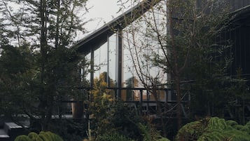 A modern building with large glass windows, surrounded by dense foliage and trees.