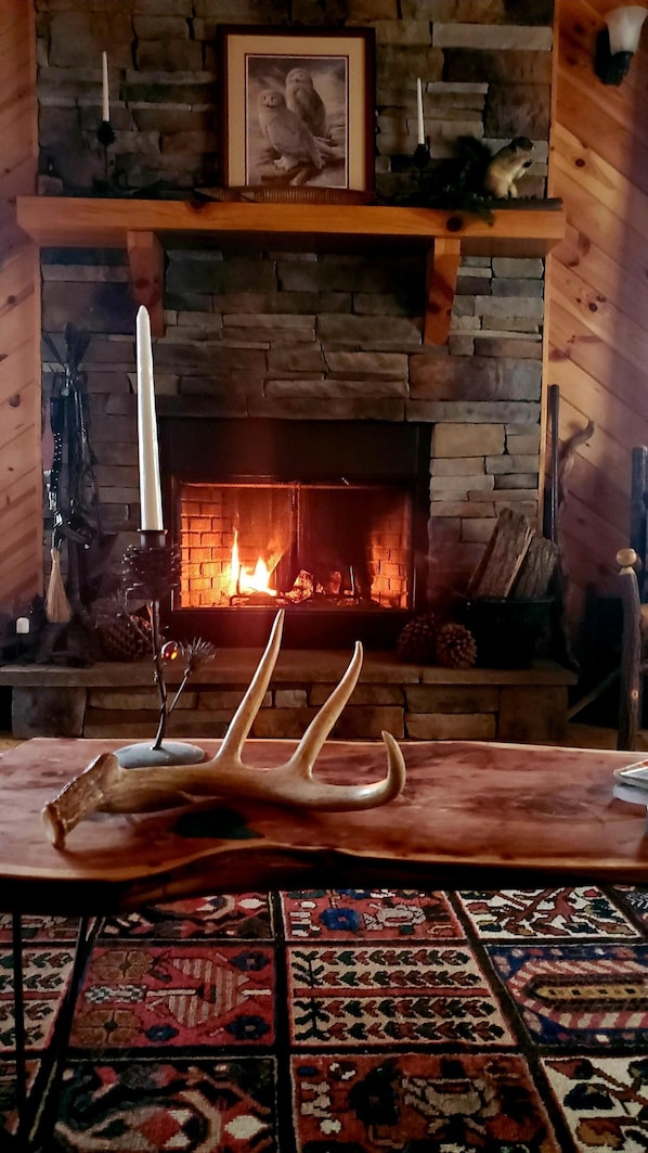 Interior - Iris-Stunning 2 bed. Cathedral Ceiling Mountain Cottage (Blairsville)