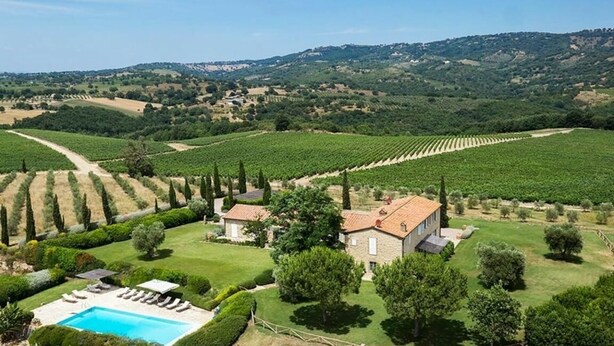 A vineyard with rows of grapevines, a swimming pool, and a stone building with a tiled roof. - Villa in Magliano In Toscana with 8 bedrooms sleeps 17 (Magliano In Toscana)