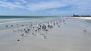 Chaises longues, serviettes de plage
