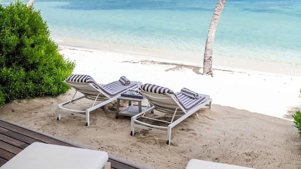 Vista de una playa con sillas de descanso y una palmera.