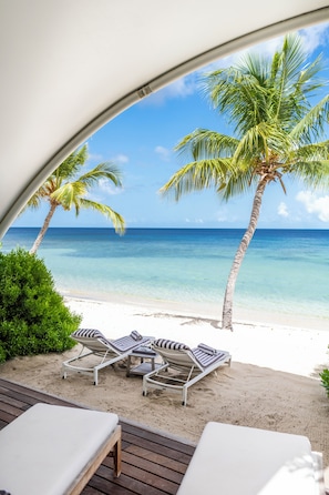 Vista de una playa con sillas de descanso y una palmera.