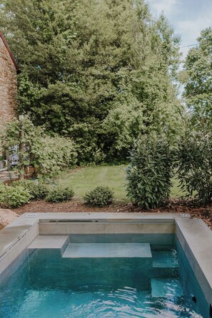 Outdoor pool, a heated pool - Historic Home, Heated Plunge Pool & Grand Piano (Columbia)