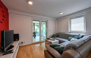 智能电视、壁炉