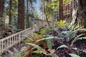 Property grounds - Dog-friendly forest retreat among redwoods, walk to Hot Spot & Gualala River (Sea Ranch)