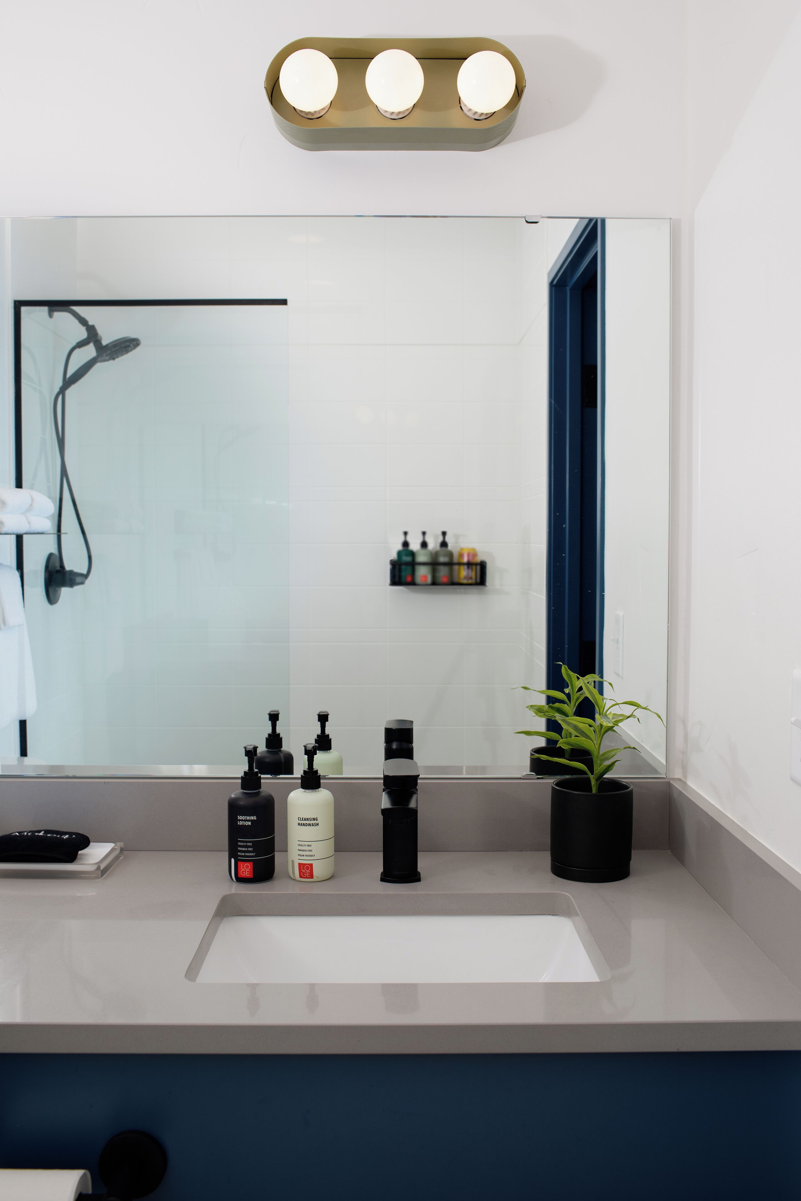 A bathroom with a large mirror, a sink, a shower, and a potted plant.