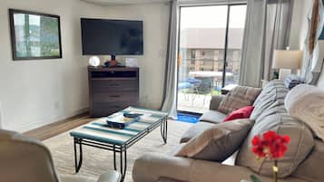 Älytelevisio, DVD-soitin, kirjoja, videokirjasto