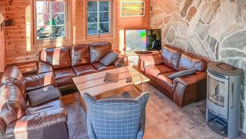 Fernseher, Kamin