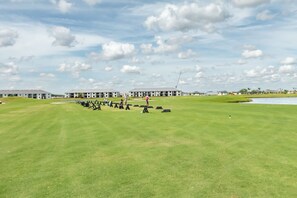 Golf